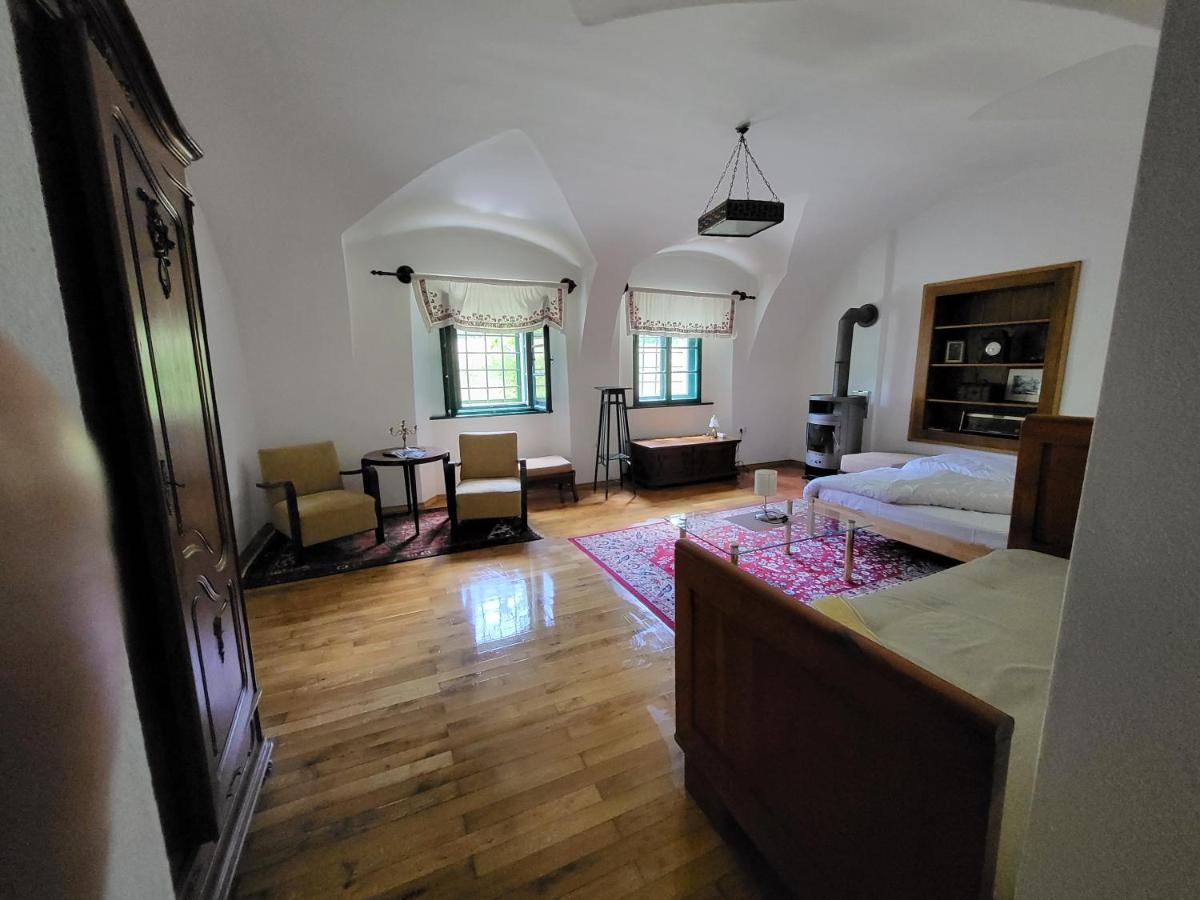 Apartma 5 Радовлица Экстерьер фото